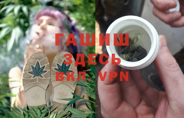 индика Алзамай