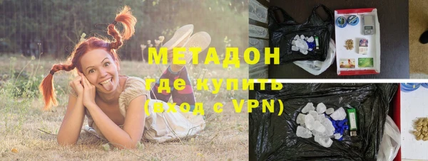 индика Алзамай